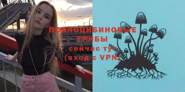 2c-b Михайловка