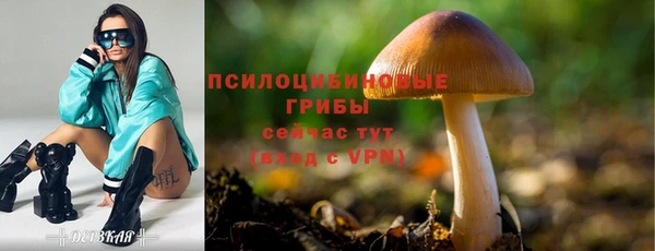 дмт Медногорск