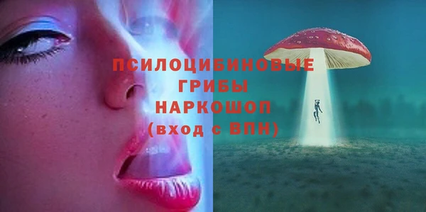 МДПВ Медвежьегорск
