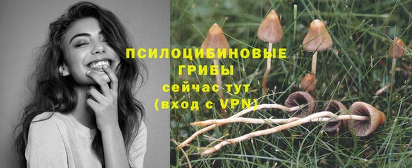 гидра Михайлов