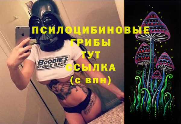 МДПВ Медвежьегорск