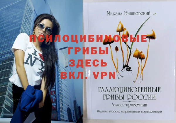 МДПВ Медвежьегорск