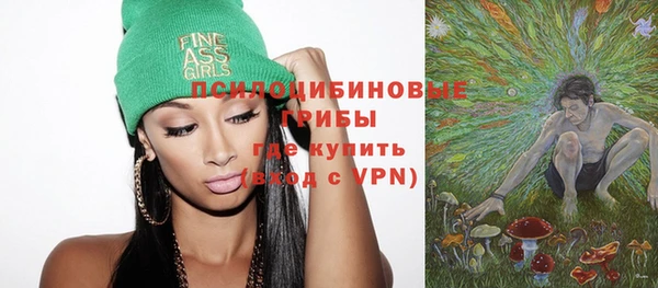 МДПВ Медвежьегорск