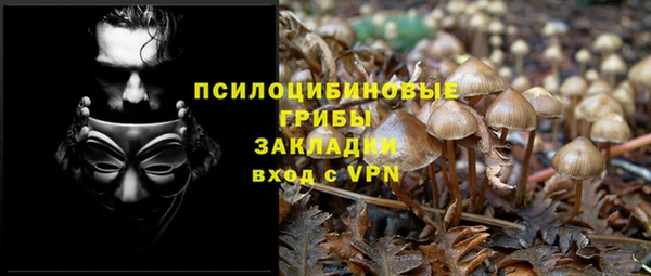гидра Михайлов