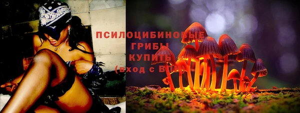 МДПВ Медвежьегорск
