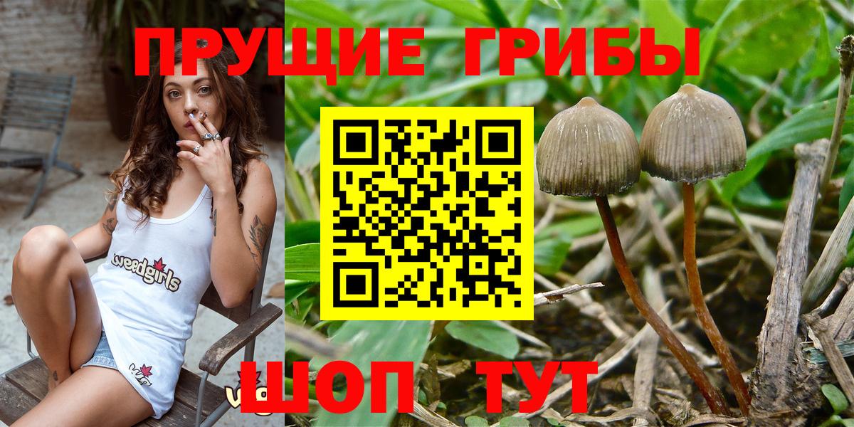 Псилоцибиновые грибы Magic Shrooms Братск