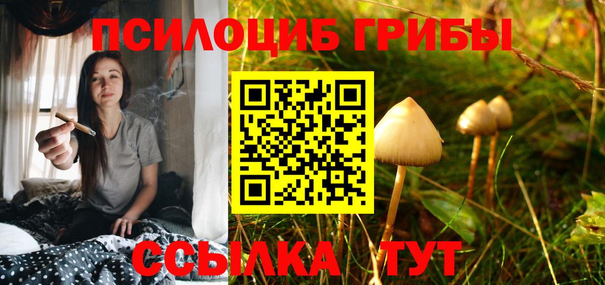 Псилоцибиновые грибы прущие грибы  Галлюциногенные грибы мицелий  Братск  Вход с VPN 